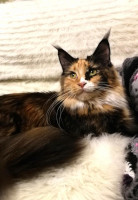Selina 2 vuotta 10/2018