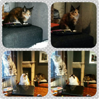 Selina 14.1.2017