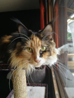 Selina 09-2019