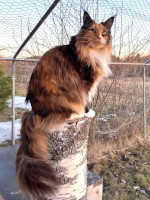 Selina 04/20222022