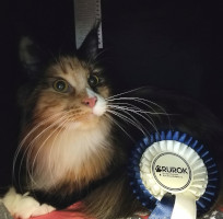 Selina 04-2019