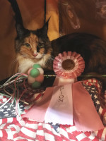 Selina 05-2019