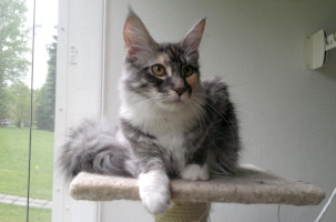 Sissi 05 2013