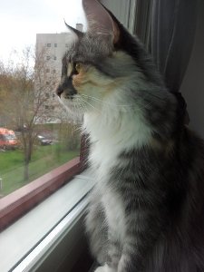 Sissi 05 2014