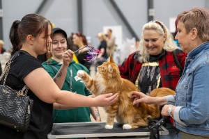 Suffeli 20.9.2025 Pauli Araneva/PIROK 50 