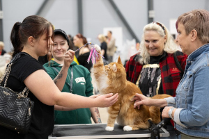 Suffeli 20.9.2025 Pauli Araneva/PIROK 50 