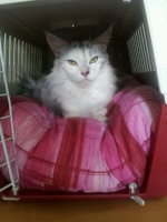 Tara 08/2014