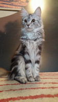 Tuisku 10/2014