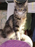Vilma 07/2011